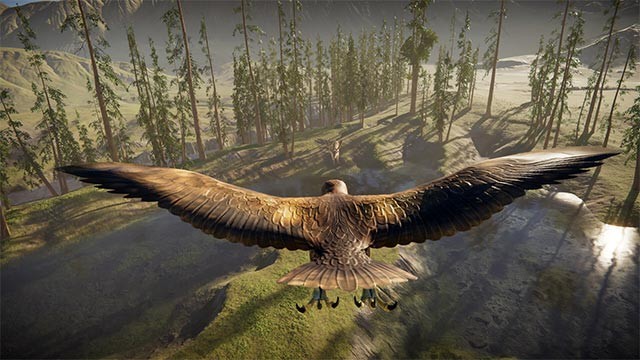 Chú đại bàng trung thành sẽ dẫn đường và phát hiện con mồi giúp bác thợ săn