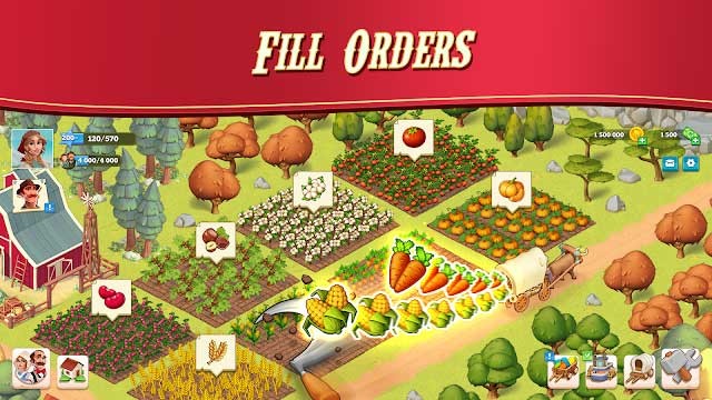 Thu hoạch nông sản và đáp ứng các đơn hàng