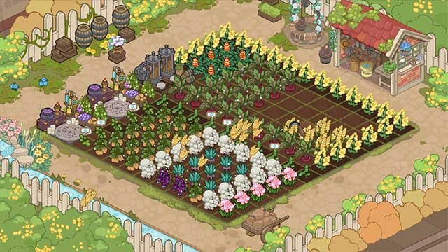 Trồng các loại thảo mộc kỳ lạ hoặc sinh vật hiếm trong vườn của bạn