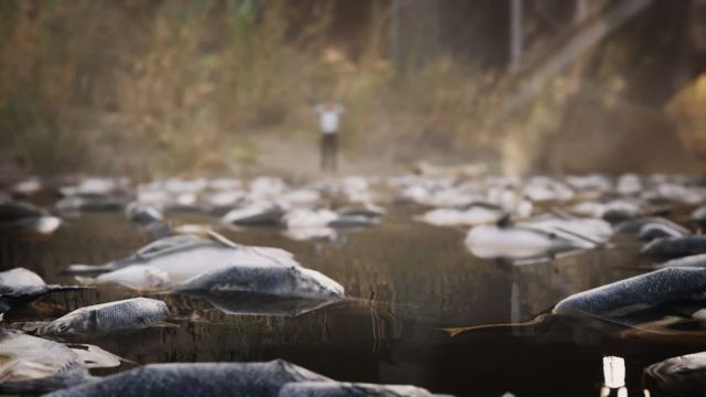 Thế giới đang chết dần và thời gian không chờ đợi bất cứ ai