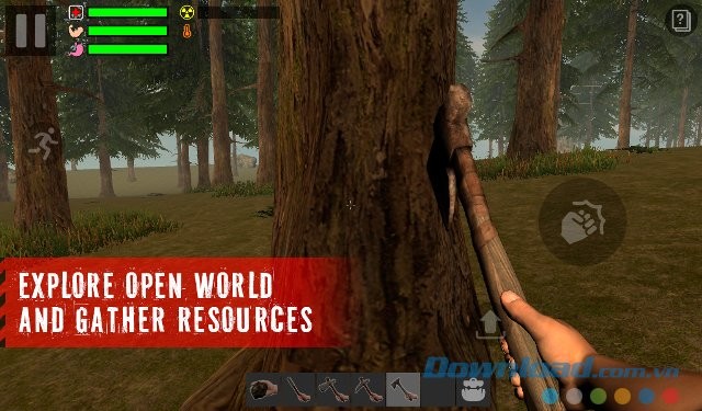 Khai thác các nguồn tài nguyên sẵn có trong rừng