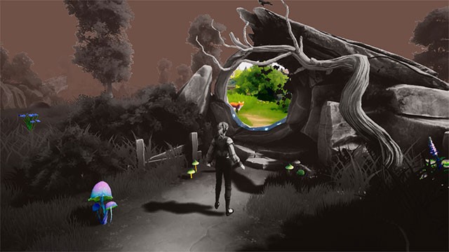 Khám phá cuộc sống và những bí ẩn xoay quanh hòn đảo Fern