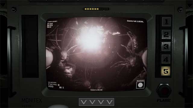 Bạn được giao nhiệm vụ giám sát và bảo trì dây cáp khỏi các sinh vật biển