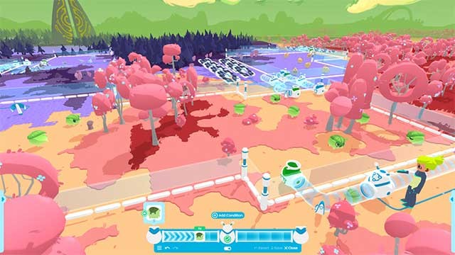 Dựng hàng rào, lắp đặt đường ống, máy bơm, dây điện, đồ trang trí, đèn, âm nhạc,...