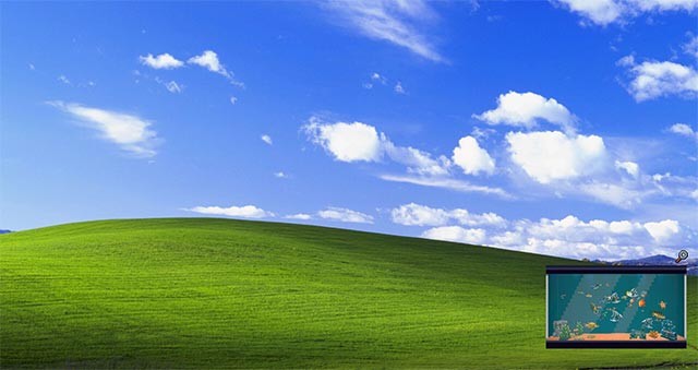 Thu nhỏ thủy cung mini ở góc desktop để tương tác bất cứ lúc nào