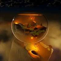 Tiny Terrariums: Demo Game Thủy Sinh Bắc Âu Đẹp Mắt