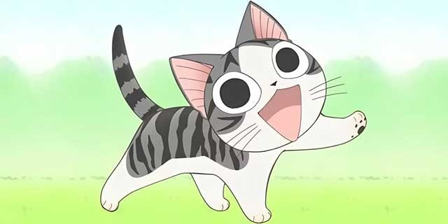 Chi's Sweet Home (Mái ấm của Chi)