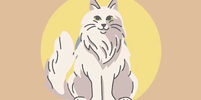 Vỗ mèo đúng thời điểm