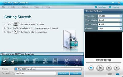 Top MKV Video Converter