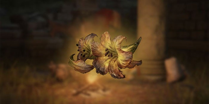 Top Elden Ring Crafting Materials - Most Useful Resources