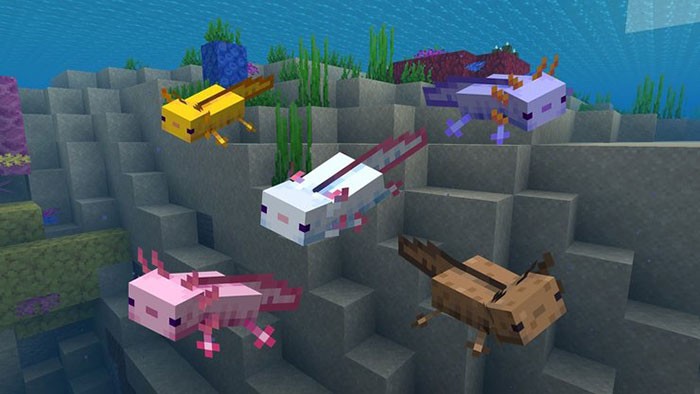 Top Rarest Mob Variants in Minecraft 1.18 Caves & Cliffs