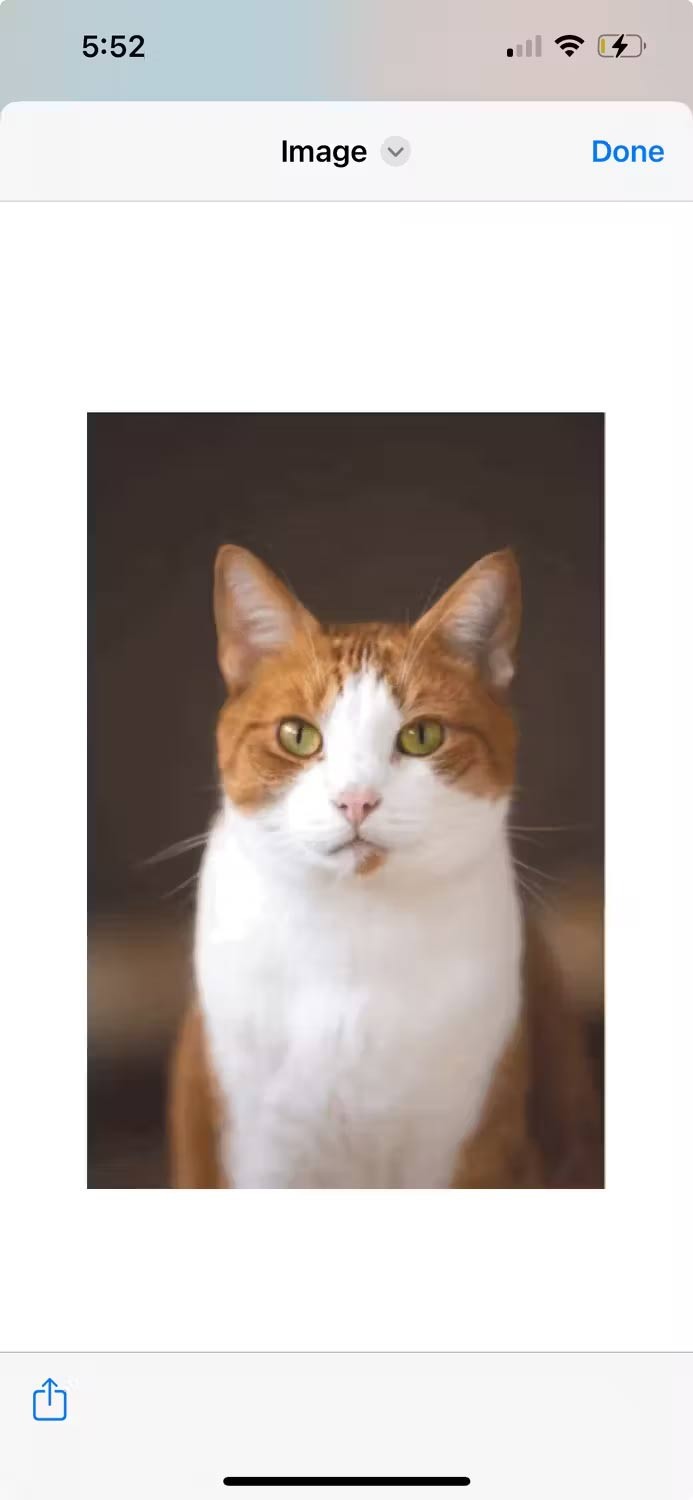 Shortcut chuyển đổi ảnh sang GIF