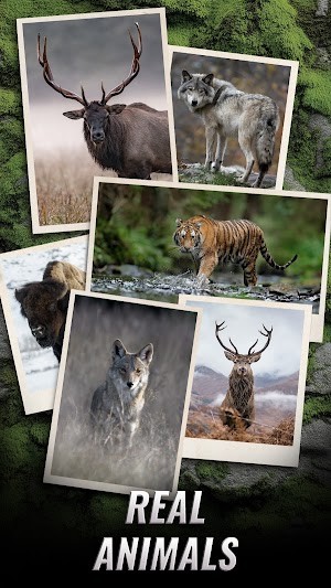 Trophy Hunter cho bạn trải nghiệm săn bắn thú chân thực