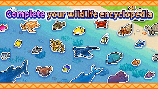 Khám phá các loài cá và nhiều loại sinh vật biển khác nhau