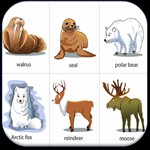 Từ Vựng Tiếng Anh Qua Hình Ảnh cho Android - Học Từ Vựng Hiệu Quả