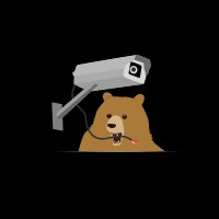 TunnelBear đảm bảo riêng tư