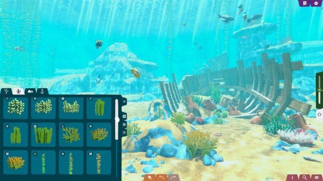 Trang trí thế giới dưới nước bằng rạn san hô, sinh vật biển và hơn thế