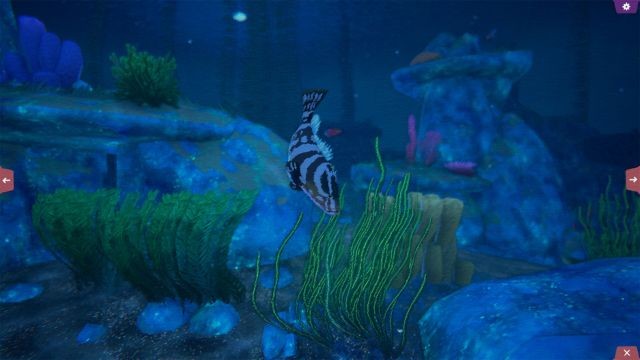 Thu hút sinh vật biển bằng giao diện bắt mắt của thế giới dưới biển