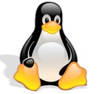 Tux Typing 1.8.1: Game Chim Cánh Cụt Ăn Cá Vui Nhộn