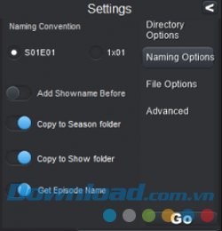 Mục Naming Options của TV Show Renamer
