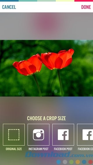 Cắt ảnh theo kích cỡ nhất định