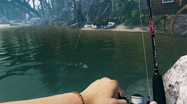 Thoải mái xoay và điều chỉnh camera để hỗ trợ theo dõi con mồi