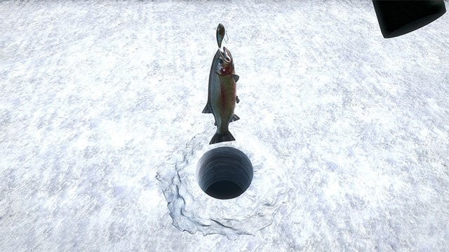 Câu cá trên băng