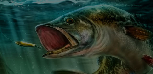 Ultimate Fishing Simulator bổ sung hàng loạt gói DLC, loài cá mới và map mới