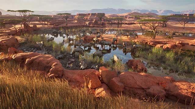 Khám phá những cảnh quan đa dạng ở Nam Phi và California