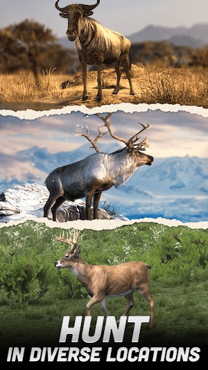 Săn bắn động vật tại nhiều địa điểm khác nhau