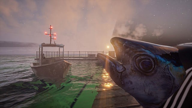 Trải nghiệm câu cá trong màn sương mù giữa đại dương