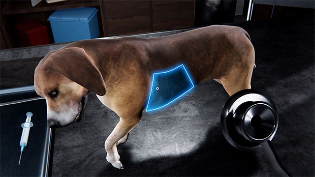 Bắt đầu công việc hàng ngày bằng cách khám bệnh cho các 'bệnh nhân' động vật