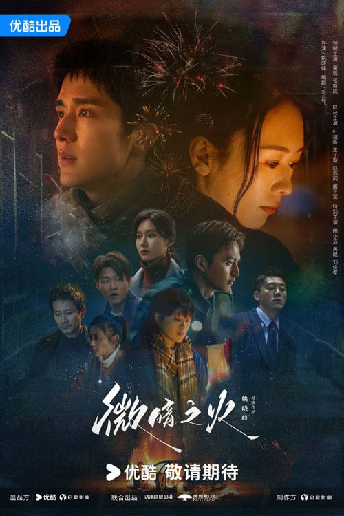 Poster phim Vi ám chi hỏa