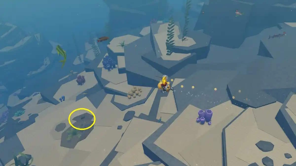 Vị trí rương kho báu 8