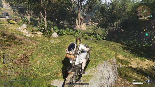 Dựng trại trong rừng là một sự lựa chọn lý tưởng