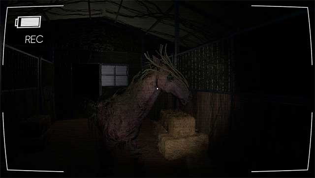 Khám phá một khu rừng tối tăm bằng cách đạp xe và đi bộ