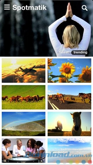 Phân loại theo nhóm