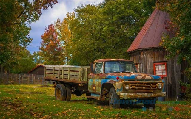 Hình nền miễn phí cho Windows 10