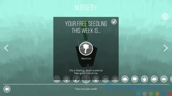 Nhận hạt giống miễn phí trong Viridi