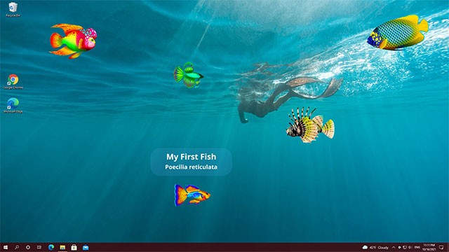 Game Virtual Aquarium giả lập bể cá cảnh rực rỡ sắc màu trên desktop