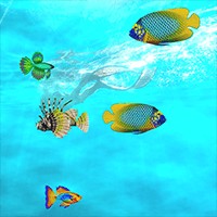Virtual Aquarium: Biến Desktop Thành Bể Cá Cảnh Đẹp Mắt