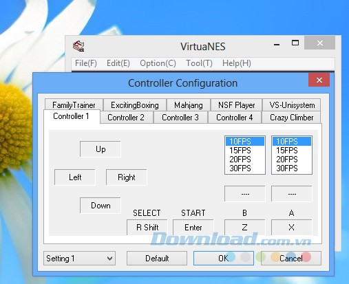 VirtuaNES