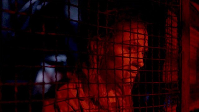 Nghẹt thở với hàng loạt pha chạy trốn, đuổi bắt kinh hoàng giữa xác sống và những người sống sót