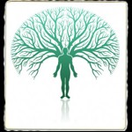 Visual Family Tree Maker 2.48 - Phần mềm lập gia phả