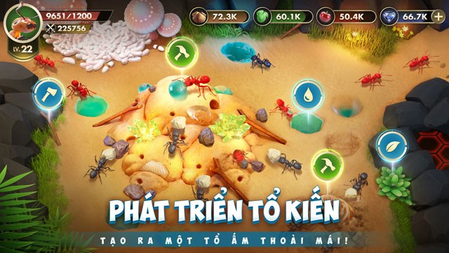 Phát triển tổ kiến - Tạo ra một tổ ấm thoải mái