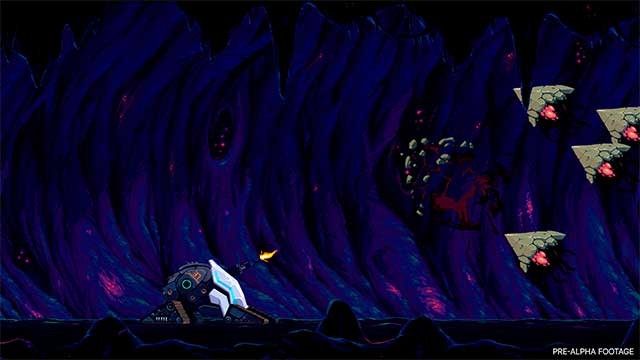 Khám phá các quần xã sinh vật đáng kinh ngạc