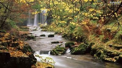 Waterfalls-Theme