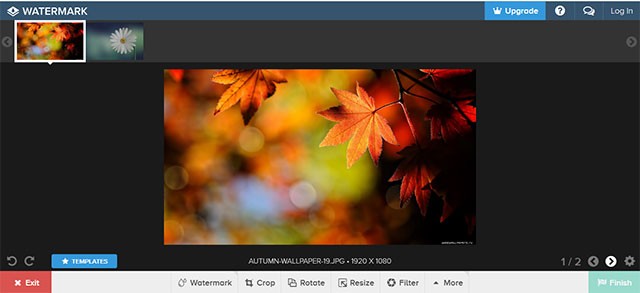 Giao diện của màn hình chèn watermark và chỉnh sửa ảnh, video của Watermark.ws