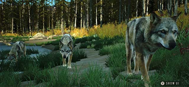 Trở thành một thợ săn thực thụ và thể hiện kỹ năng của bạn