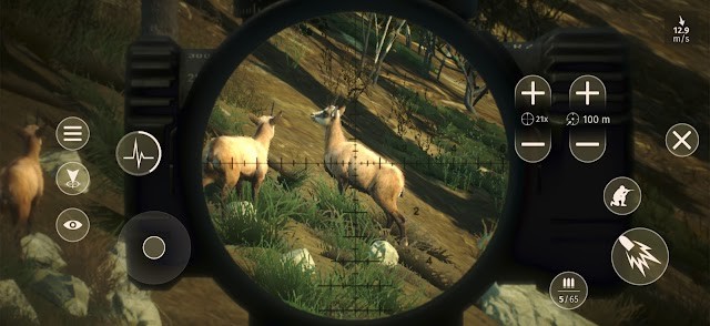 Quan sát, theo dõi, phân tích kỹ lưỡng hành vi của con thú trước khi nổ súng